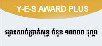 Y-E-S Award  Plus